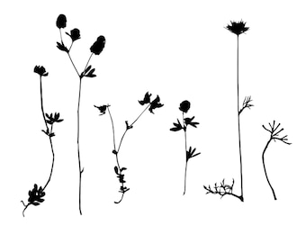 Wildflower Grass Stencil Set, Large Botanical Wall Decor (Reusable Mylar or Self Adhesive) Wild13