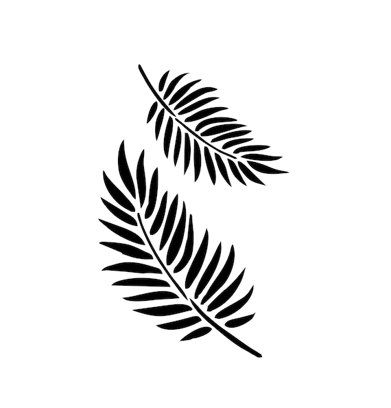 glanzmispel spalier kaufen Glanzmispel als Spalierbaum bestellen? main image 0