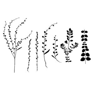 Botanical Wild Flowers Set Reusable Stencil Sizes A5 A4 A3 Craft Flora Nature Shabby Chic / Wild11