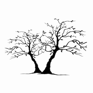 May include: Silhouette of two trees with bare branches, intertwined together, against a white background.