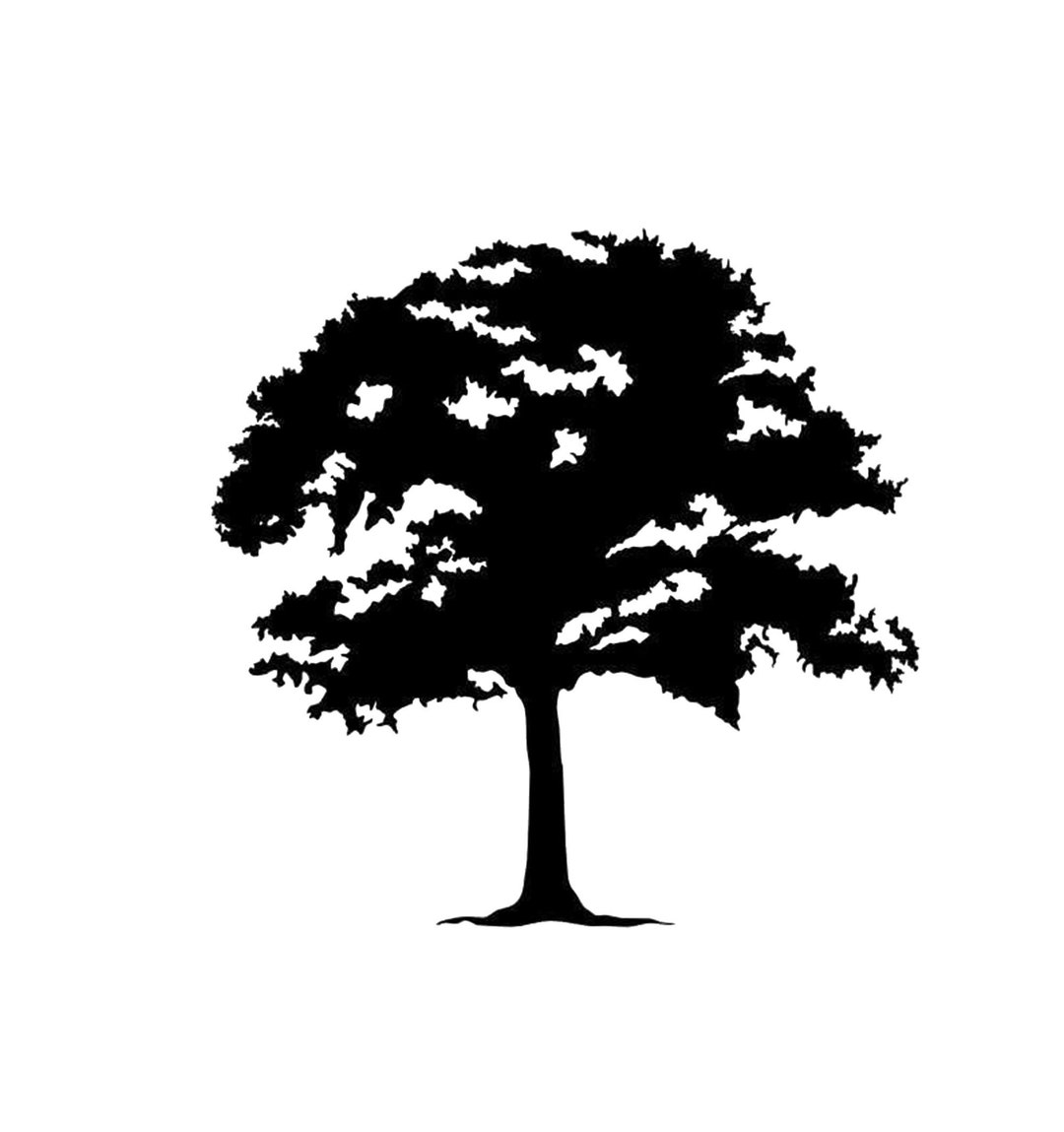 Tree of Life Oak Reusable Stencil Sizes A5 A4 A3 Craft Flora Nature ...
