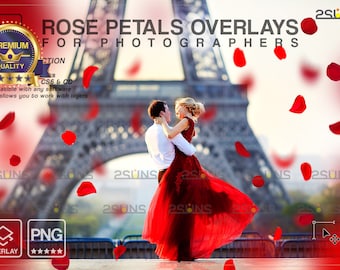 Petal Flowers PNG, Flower overlays, Photoshop overlays, Falling rose petals png clipart, Wedding overlay, Floral digital backdrop