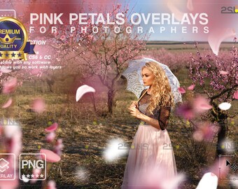 Flower overlays, Photoshop overlays, Petals flower overlay, Rose border overlays, Falling pink petal png, Wedding photoshop overlays