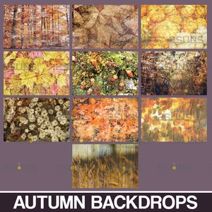 Digital Autumn Backdrop, Autumn Photoshop Overlays, Fall Overlay, Photo ...