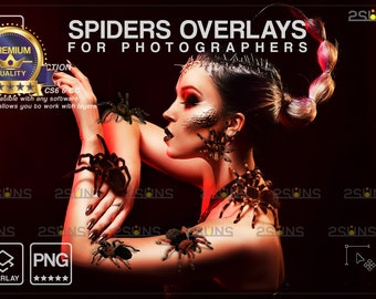 Halloween overlay, Photoshop overlays, Spider photo overlays, Spider clipart, Tarantula png, Halloween clipart, Halloween spider png