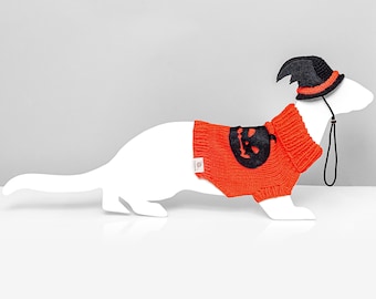 Halloween knitted ferret sweater with hat
