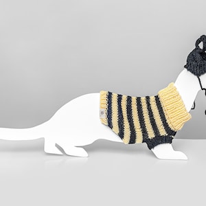 Pull d’abeille pour furet avec chapeau