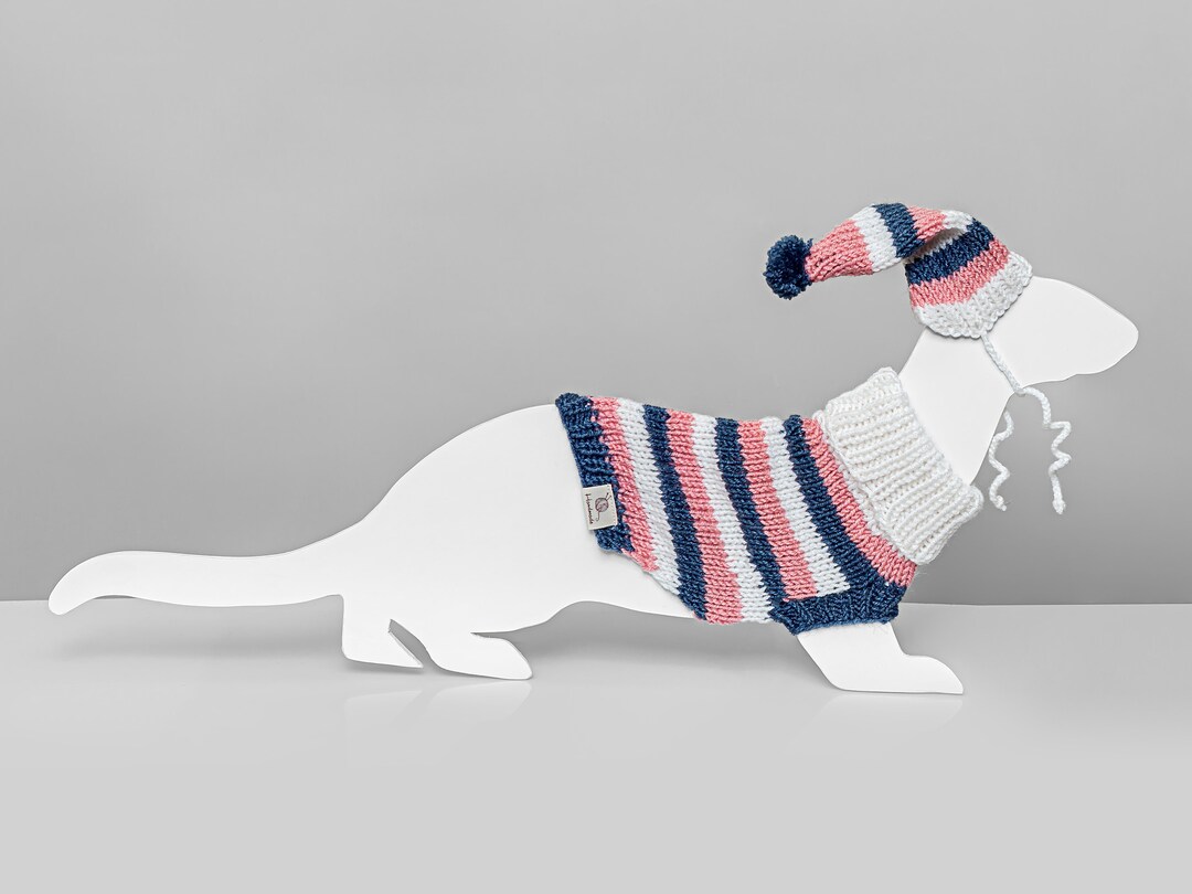 Colored Striped Ferret Sweater With Hat - Etsy