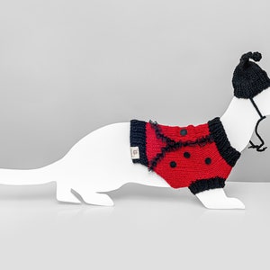 Ladybug knitted sweater for ferret with hat