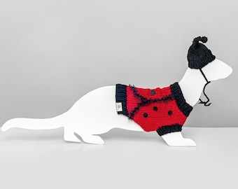 Ladybug knitted sweater for ferret with hat