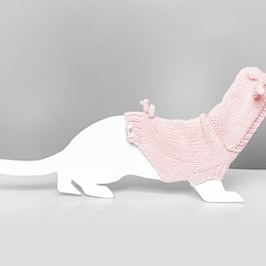 Piggy ferret sweater with hood