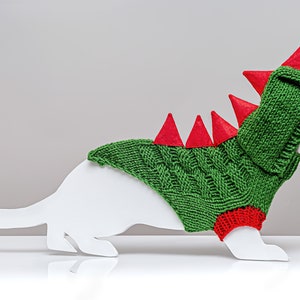 Dragon sweater for ferret with hood