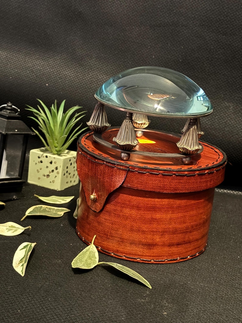 May include: A magnifying glass with a round, clear glass dome sits on top of a brown leather box with decorative stitching. The box has a gold-colored metal accent on the side.