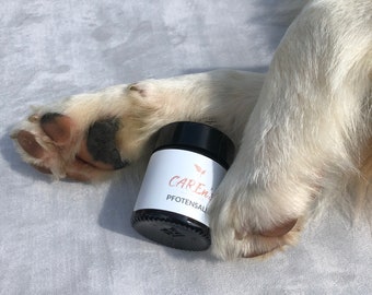 wild dog balm