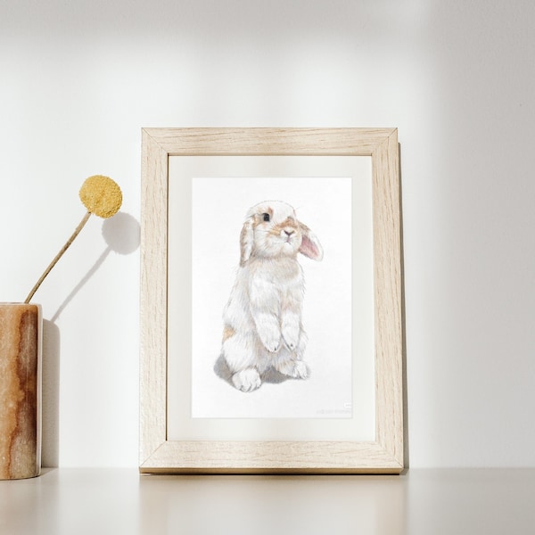 100% HAND-DRAWN Custom Bunny Rabbit/ Dog/ Cat/ Pet Portrait Sketch in Color Pencils with Frame and HD Scan - A4/A5 Size