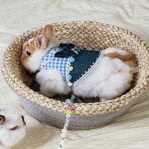 Pet rabbit clothes suppliers online