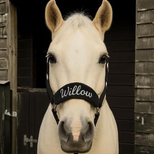 Headcollar for horse/Personalised headcollar/Sparkly headcollar/Gift for horse rider/Horse gift/Horse halter/headcollar pony/cob headcollar