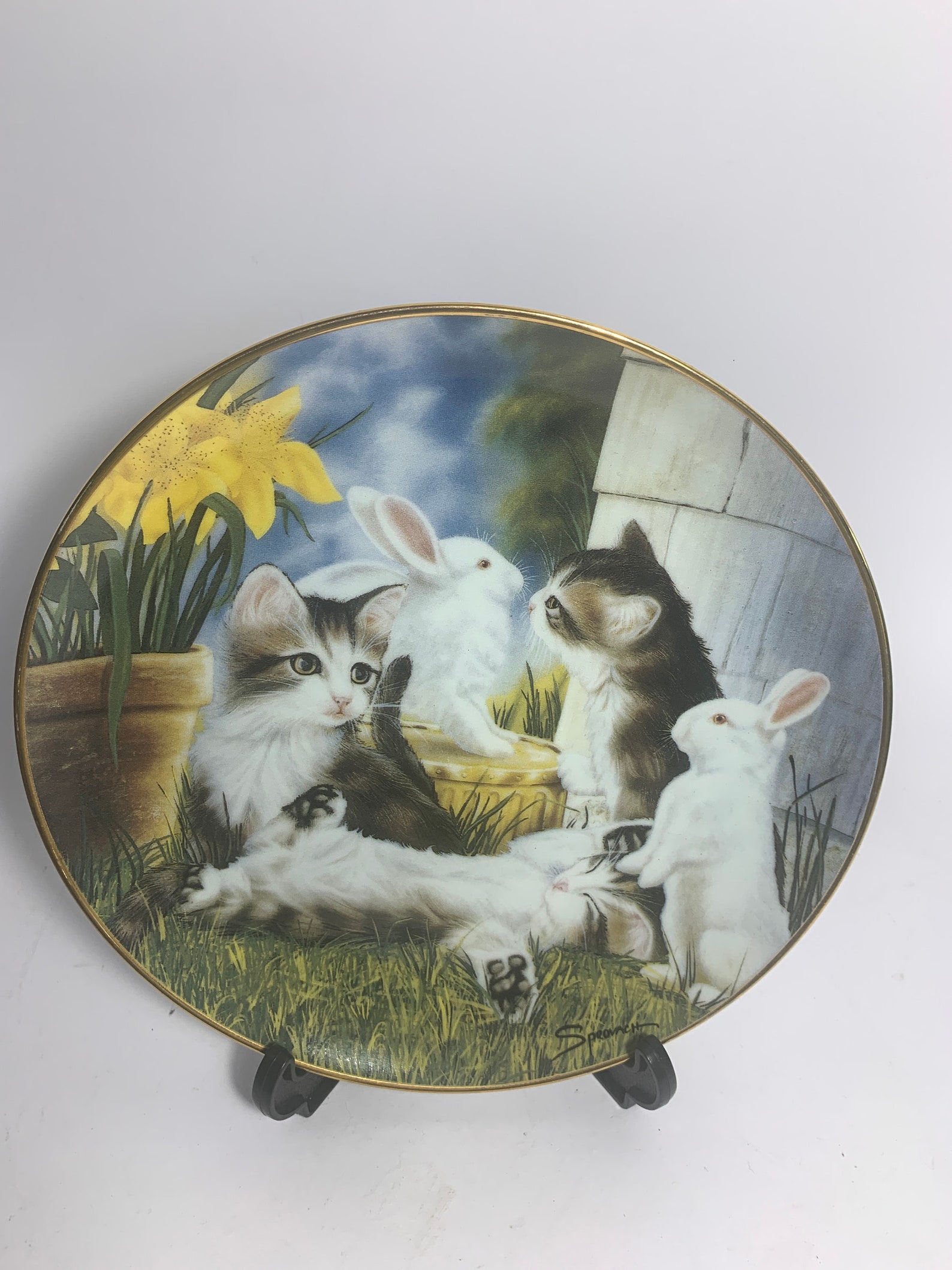 The Rise And Fall Of Franklin Mint: A Collector'S Tragedy - cs9nonr