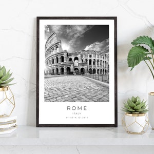 May include: Black and white photograph of the Colosseum in Rome, Italy. The photo is framed in a black frame and is displayed on a white surface with two potted plants.
