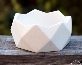 White Concrete Planter: Geometric Succulent & Air Plant Pot, Modern Decor, Minimalist Plant Holder