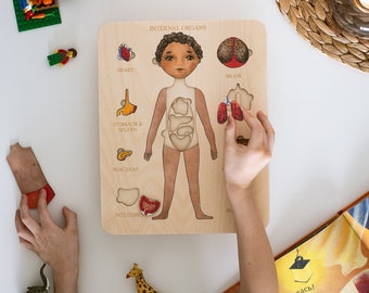 Preschool anatomy wood puzzle. Human body, internal organs montessori materials. Wooden learning busy board