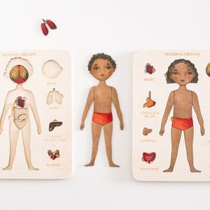 Wooden Puzzle | Human body | Internal organs | Montessori |   Homeschooling | Toddler Toys | Baby Gifts | Gift for Kids | Christmas Present