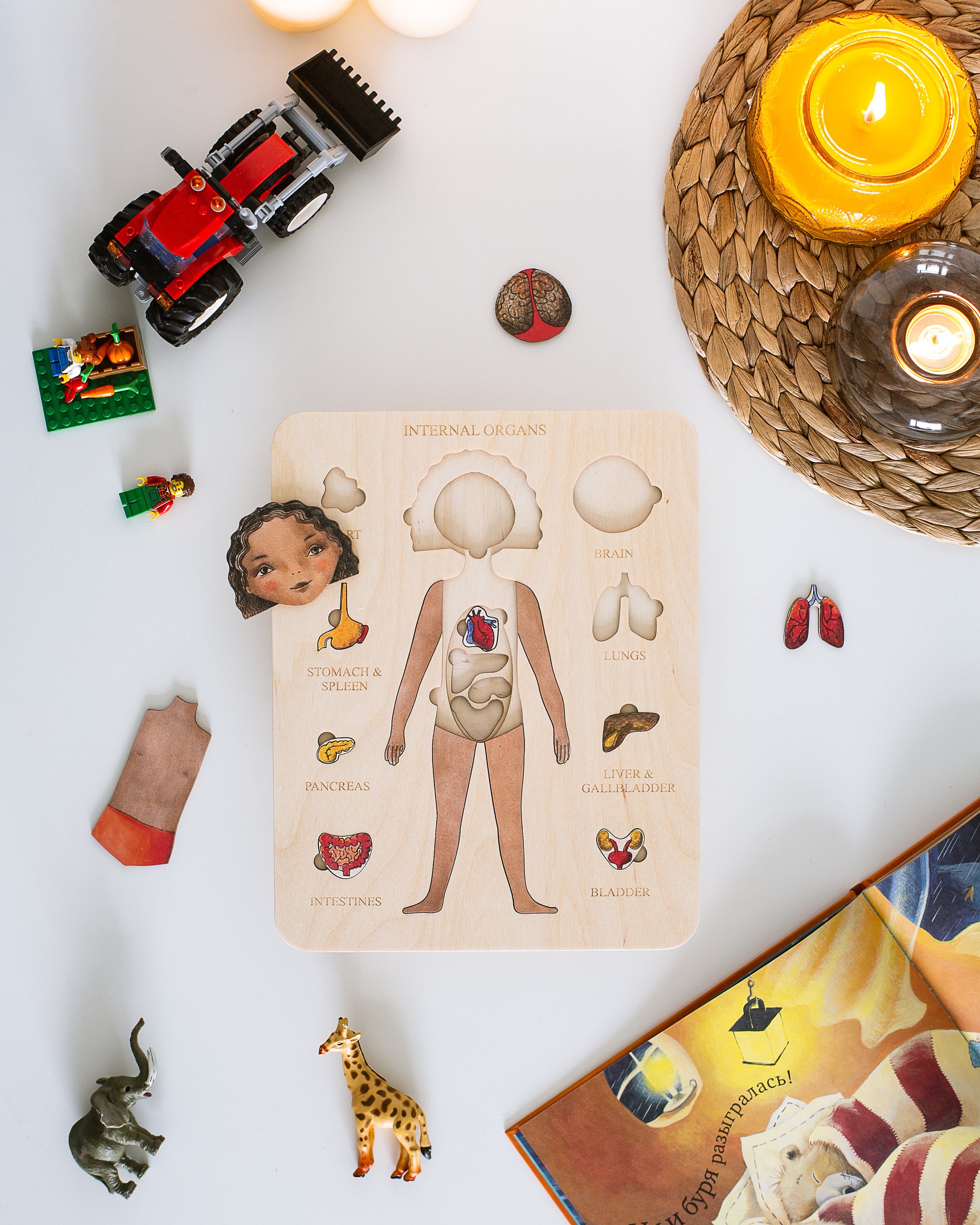 Wooden Puzzle Human Body Internal Organs Montessori - Etsy UK