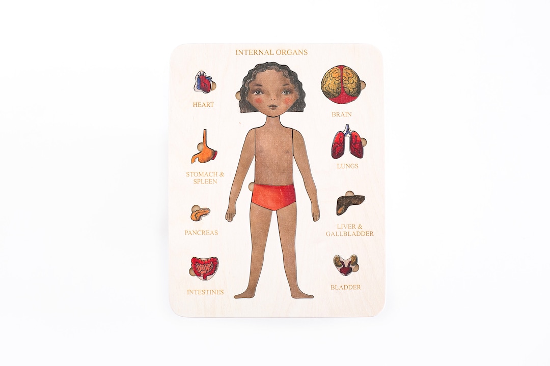 Wooden Puzzle Human body Internal organs Montessori - Etsy Portugal
