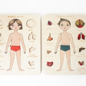 Wooden Puzzle | Human body | Internal organs | Montessori |   Homeschooling | Toddler Toys | Baby Gifts | Gift for Kids | Christmas Gifts