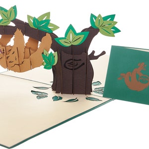 Carte pop-up paresseux, carte vierge paresseux, carte paresseux sur l'arbre, carte d'anniversaire paresseux, arbre suspendu paresseux, carte d'anniversaire en retard, carte de remerciement paresseux