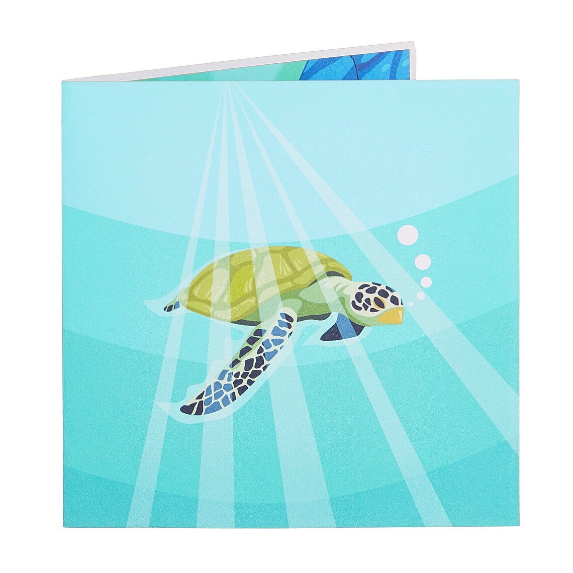 Turtle Pop up Card, Turtle Card, Marine Card, Turtle Thank You, Sea