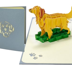 Golden Retriever Pop Up Card 6 * 6 in, Biglietto di compleanno per cani, Regalo Golden Retriever, Biglietto d'auguri Golden Retriever, Biglietto Golden Retriever