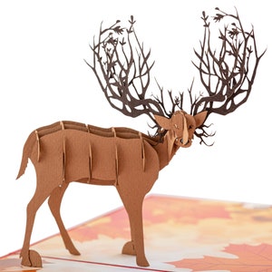 Moose pop-up kaart, lege elandkaart, elandverjaardagskaart, elandcadeau, elandkaart alle gelegenheid, elandkaart voor baas, natuurkaart, boskaart