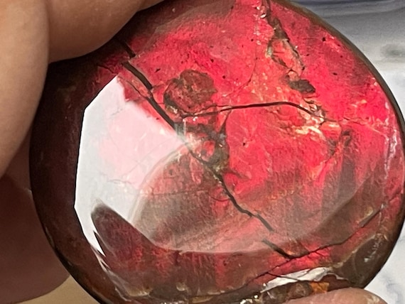 Very rare ammolite pendant from Canada – a unique fossil gemstone with a spectacular play of colors.