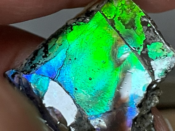 Very rare ammolite pendant from Canada – a unique fossil gemstone with a spectacular play of colors.
