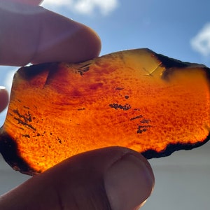 Phenomenal, rare blue amber