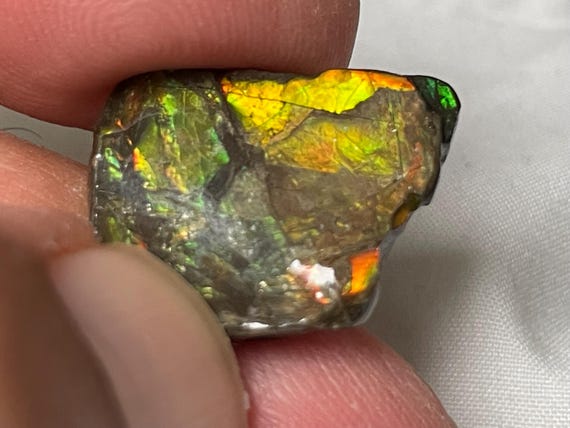 Very rare ammolite pendant from Canada – a unique fossil gemstone with a spectacular play of colors.