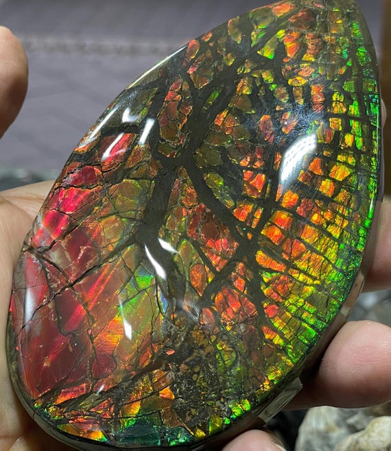 Very beautiful and rare ammolite design pendant in sterling silver (925). (Ammolite ranges from fiery red to orange-green...)