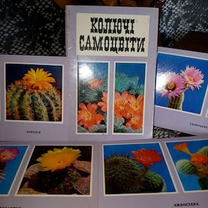 Ensemble de cartes postales vintage "Thorny Gems", 1977. 10 cartes postales avec des photographies de cactus et de plantes grasses en fleurs. Coffret collector + cadeau surprise