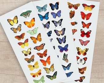Vinyl Butterfly Stickers | Waterproof Butterfly Stickers | Outdoor Butterfly Stickers | Vintage Butterfly Decals | Insect Stickers