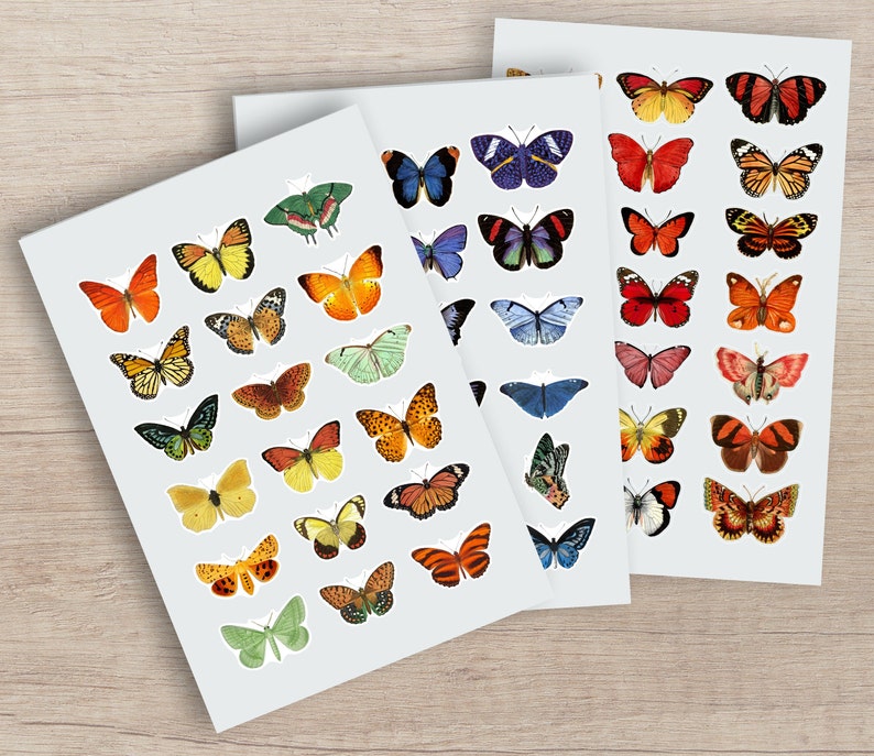 May include: Sheets of butterfly stickers in various colors, including orange, yellow, blue, and green. The stickers feature detailed illustrations of different butterfly species. The stickers are on a white background.