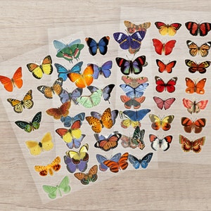 May include: Sheets of butterfly stickers in various colors and patterns. The stickers feature detailed illustrations of butterflies in shades of orange, yellow, blue, red, and green. The stickers are on a clear backing.