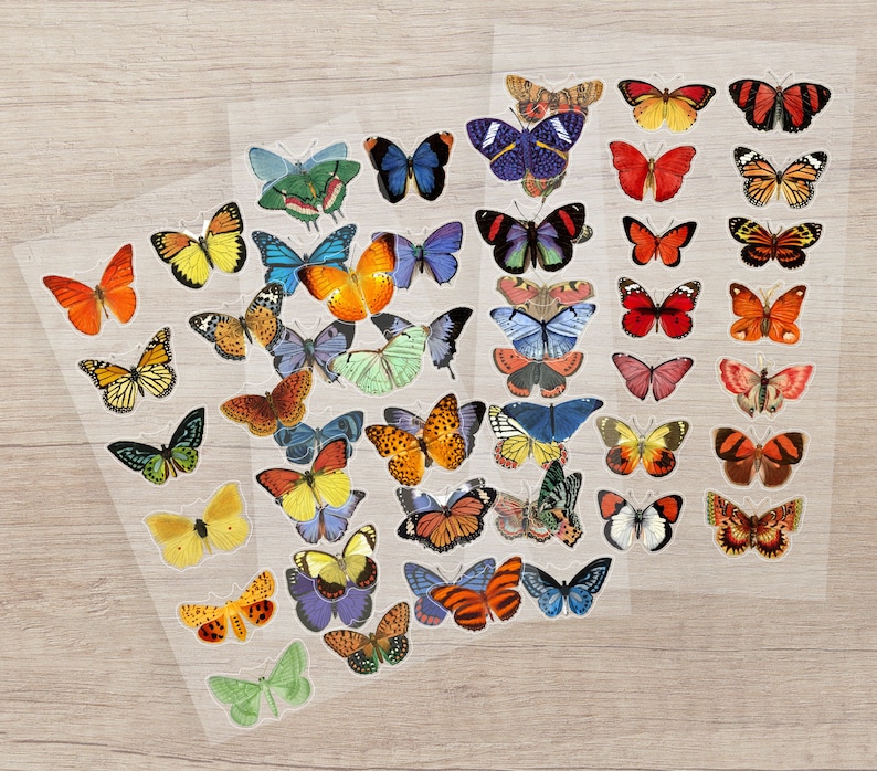 May include: Sheets of butterfly stickers in various colors and patterns. The stickers feature detailed illustrations of butterflies in shades of orange, yellow, blue, red, and green. The stickers are on a clear backing.