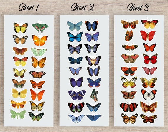 Vinyl Butterfly Stickers | Waterproof Butterfly Stickers | Outdoor  Butterfly Stickers | Vintage Butterfly Decals | Insect Stickers