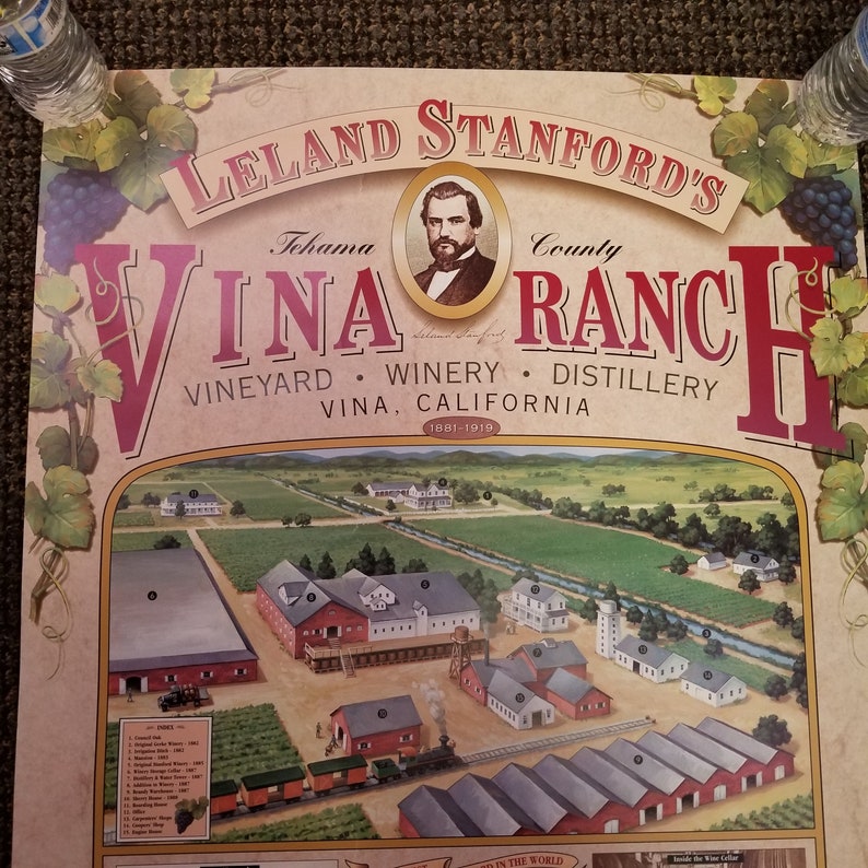 Vintage 2001 Leland Stanford's Vina Ranch California Winery Poster Wine Vineyard Distillery History Infographic image 2