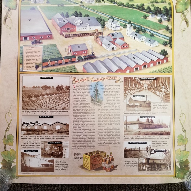 Vintage 2001 Leland Stanford's Vina Ranch California Winery Poster Wine Vineyard Distillery History Infographic image 3
