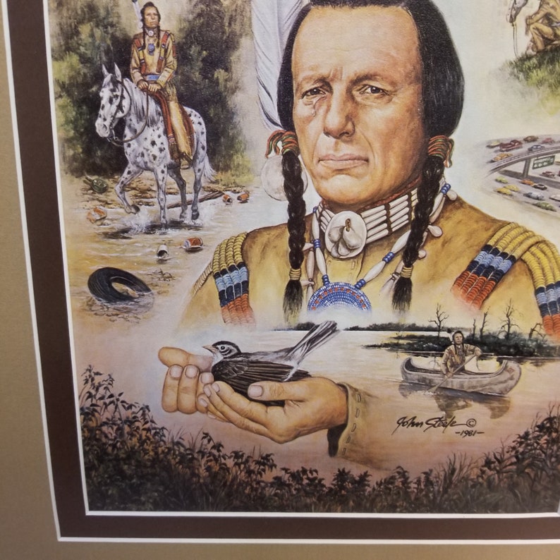 Vintage 1981 John Steele Iron Eyes Cody Framed Signed Personalized