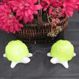 May include: Two green and white turtle-shaped toys with a textured surface and flower-like designs. The toys are on a black surface.