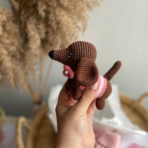 Congrats pregnancy gift ideas Friend Pregnant mom present New mom gift for new mom Crochet Dachshund Unique pregnancy gift box for mom to be