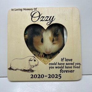 Guinea Pig/Personalized Memorial Photo Frame/In Loving Memory/Loss Of Guinea Pig/Memorial Gift/Remembrance/ Custom Guinea Pig Memorial Frame